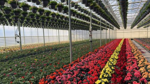 Beyond Sweat Equity: Compounding Growth and Building Value in Your Greenhouse Business