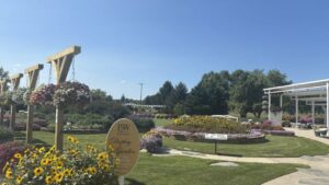 The Best Plants From Proven Winners Carleton’s Display Gardens