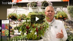 One Team, New Plants, Greater Success