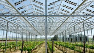 How Greenhouse Coverings Are Taking on New Roles
