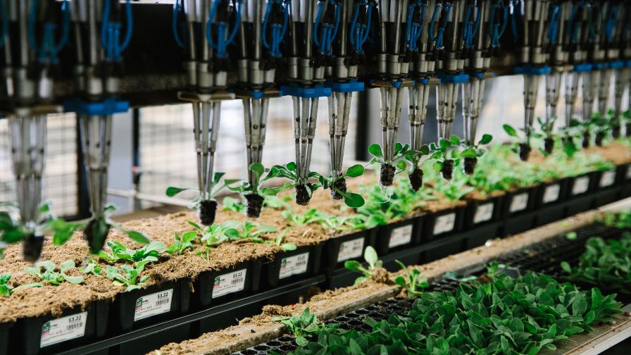 “We still look at new technology that helps us improve labor efficiency, but we also want to be smarter in deciding what we grow and how we’re going to grow it,” says Mark Smith.