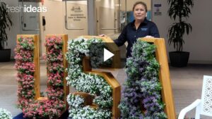 Red, White & Blue Blooms for Summer Sales