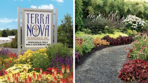 Terra Nova Open House Returns for the 2026 Farwest Show