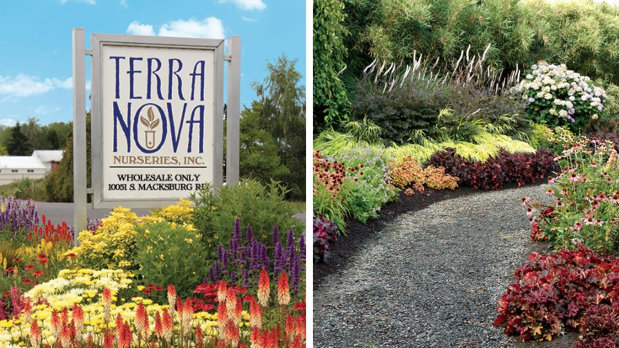 Terra Nova's Open House and display gardens.