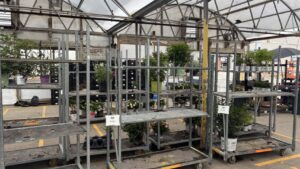 Willoway Nurseries Expands With Acquisition of Decker’s Nursery