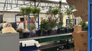 How Willoway Nurseries Has Mastered E-Commerce Order Fulfillment