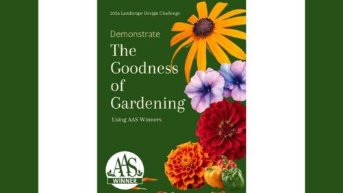 Video Spotlight: All-America Selections’ Goodness of Gardening Landscape Design Challenge