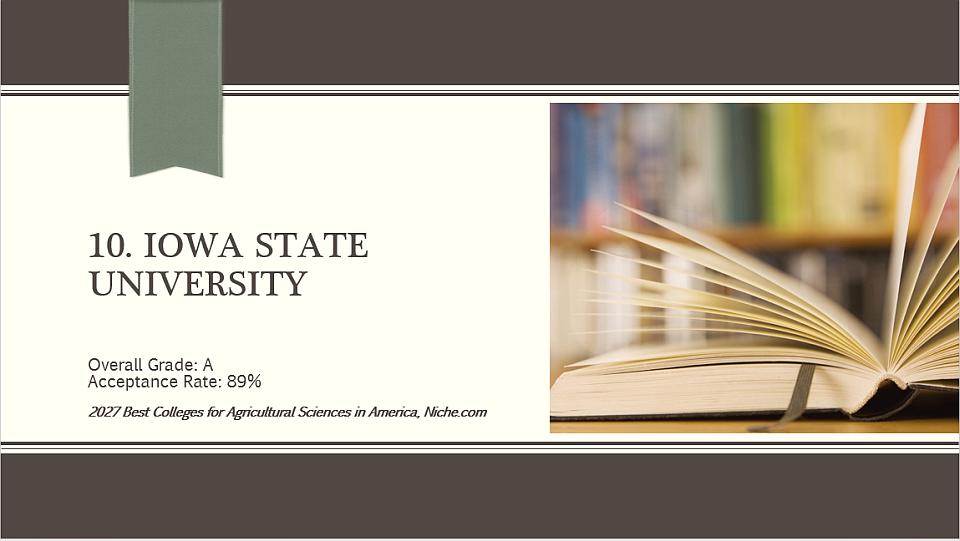 10. Iowa State University