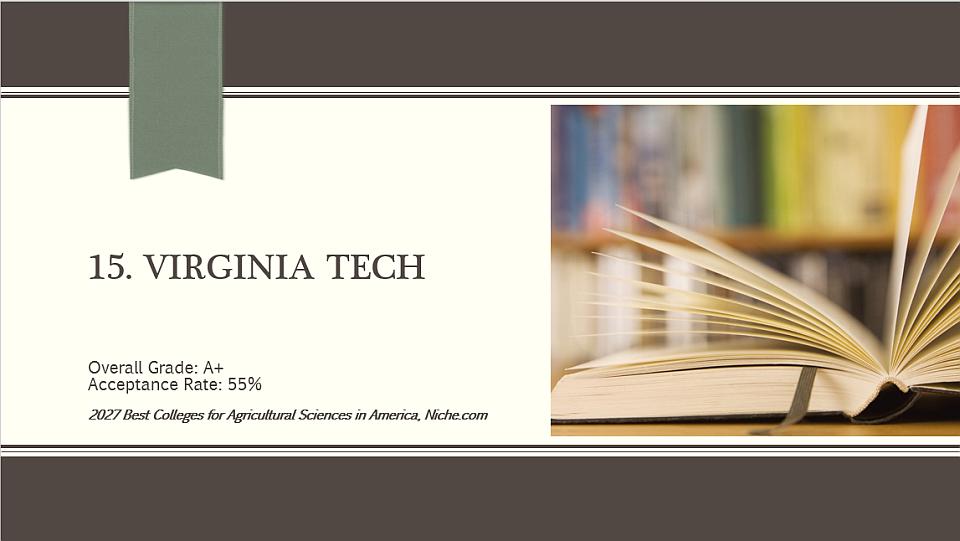 15. Virginia Tech