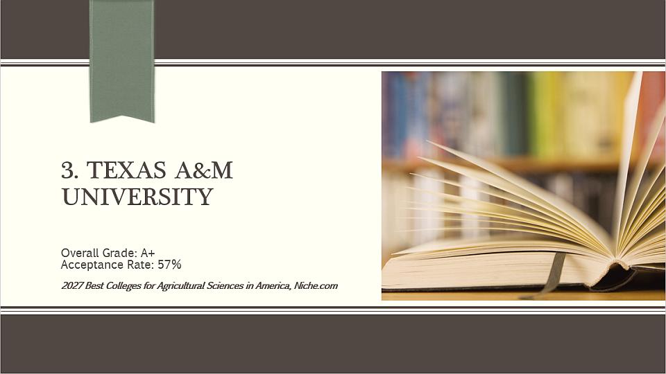 3. Texas A&M University