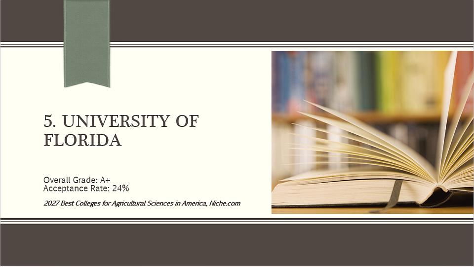 5. University of Florida