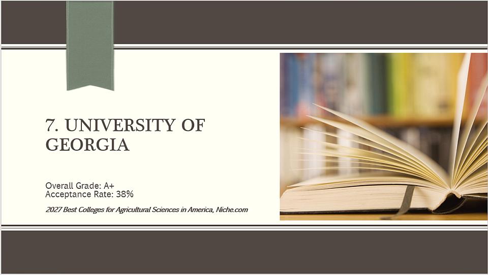 7. University of Georgia