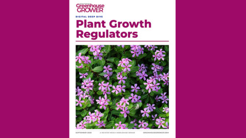 Don’t Miss Greenhouse Grower’s Digital Deep Dive on Plant Growth Regulators