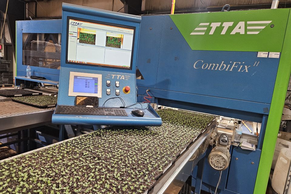 A CombiFix II system at Tagawa Greenhouses automatically patches plug trays to 100% fill, one example of the automation concentrated at the company’s Colorado operation.