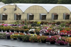 2026 Michigan Plant Tour: Pell Greenhouses