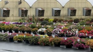 Inside Pell Greenhouses’ 2026 Michigan Plant Tour Display