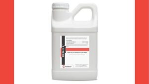 BioWorks Launches BioRain Ax to Aid Water-Limited Plants
