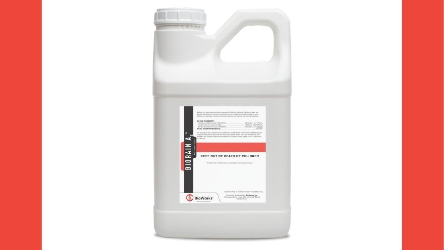 BioRain Ax from Bioworks, a microbial inoculant designed to mitigate the effects of limited water environments.