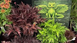 Garden Retailers Pick Their Favorite Plants and Products From the Farwest Show