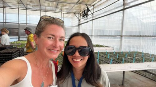 How the International Plant Production Society Aims to Seek and Share Research