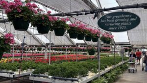 What the American Dream Warning Means for the Green Industry