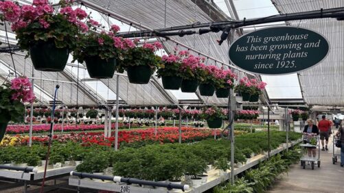 What the American Dream Warning Means for the Green Industry