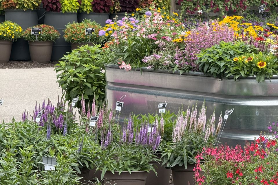 Creative plant displays at DGI Propagators during the Michigan Garden Plant Tour.