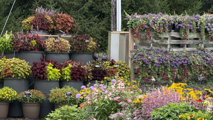 Creative plant displays at DGI Propagators during the Michigan Garden Plant Tour.
