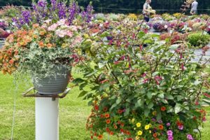 2026 Michigan Plant Tour: Pell Greenhouses