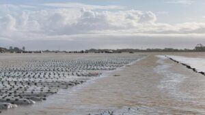 How Growers Can Be Better Prepared for All Types of Extreme Weather