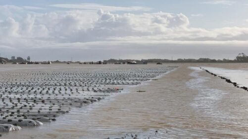 How Growers Can Be Better Prepared for All Types of Extreme Weather