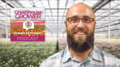 Grower to Grower Podcast: Trends in the Tropicals and Foliage Market With Chris Rocheleau