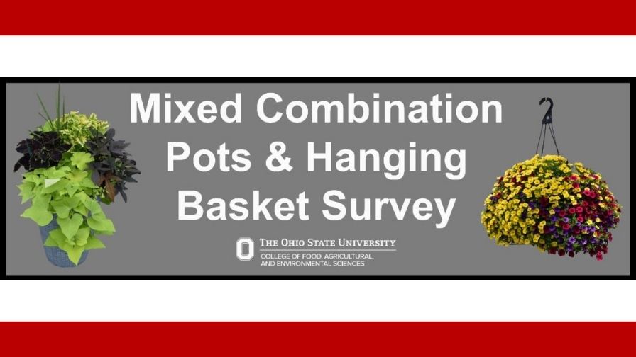 Mixed-Combination Pots and Hanging Basket Survey header image.