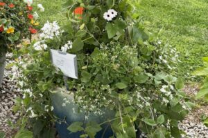 2026 Michigan Plant Tour: Pell Greenhouses