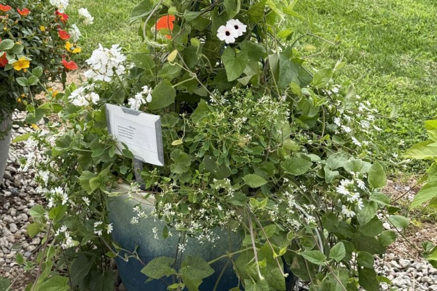 2026 Michigan Plant Tour: Pell Greenhouses