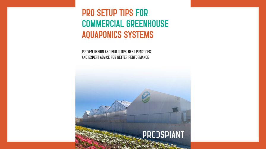 Cover for the "Pro Setup Tips for Commercial Greenhouse Aquaponics Systems" cover.
