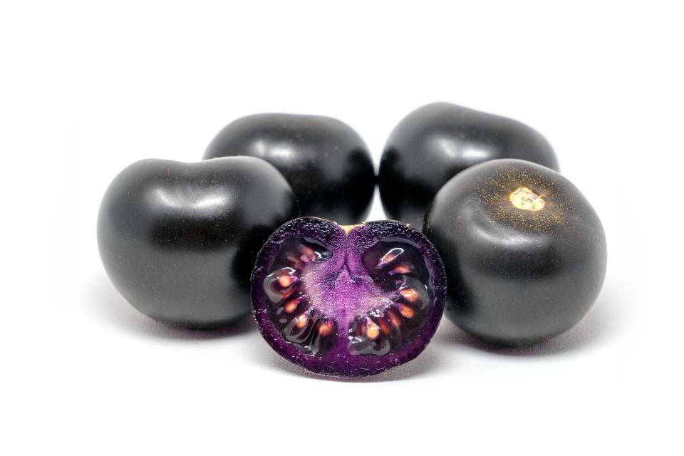 Purple Empress tomato from Norfolk Healthy Produce has deep-purple fruit and elevated anthocyanin levels.