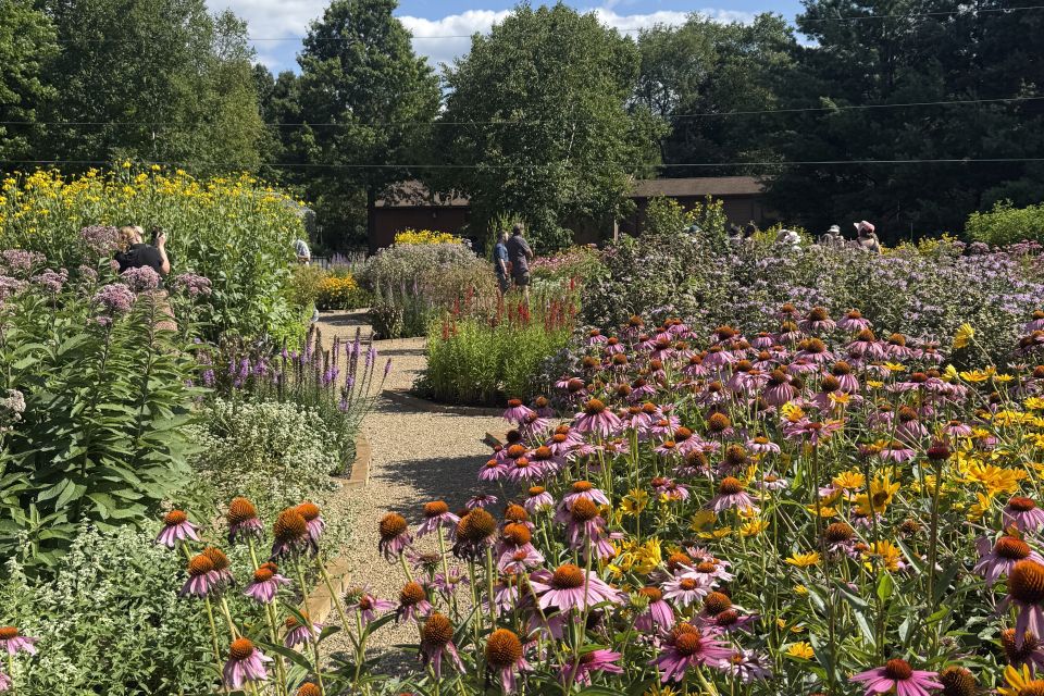 Purple coneflower (Echinacea purpurea) and other native perennials fill the geometric beds of Lynn O’Shaughnessy’s roughly 100-foot Circle Garden in Howell, MI.