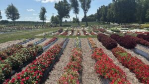 Highlights From Raker-Roberta’s 2026 Plant Trials on the Michigan Garden Plant Tour