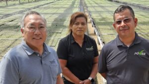 How Tagawa Greenhouses Consolidated to Improve Profitability
