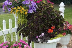 2026 Michigan Plant Tour: Pell Greenhouses