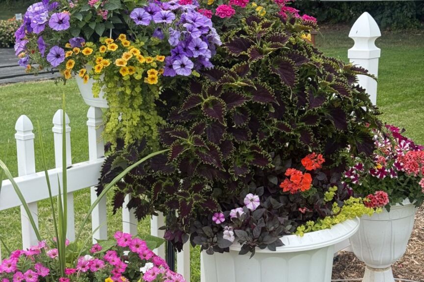 2026 Michigan Plant Tour: Pell Greenhouses