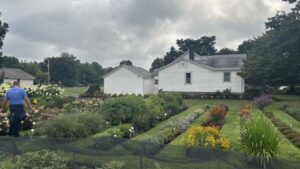 A Closer Look at the Trial Gardens at Willoway Nurseries