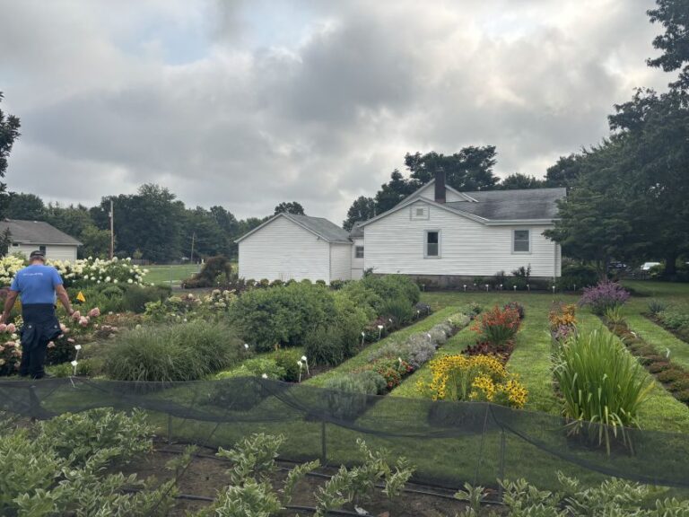 Willoway Nurseries Trial Gardens