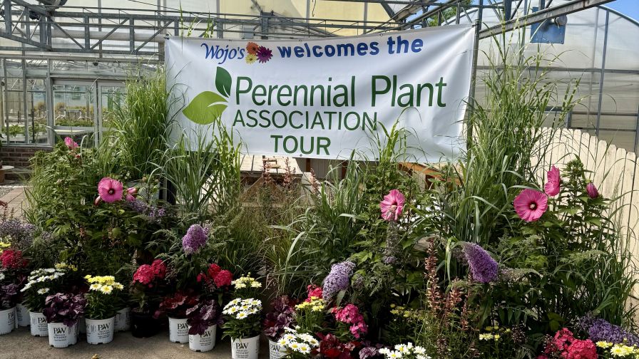 Wojo’s Greenhouse welcomed attendees on the Ideas & Inspiration Tour during the 2026 Perennial Plant Association National Symposium in Michigan.