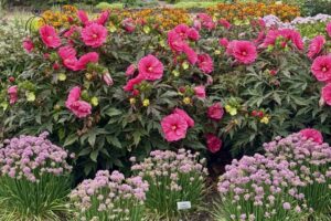 2026 Michigan Garden Plant Tour: Walters Gardens