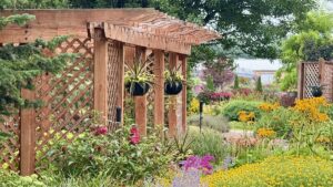 A Walk Through Walters Gardens’ Perennial Displays