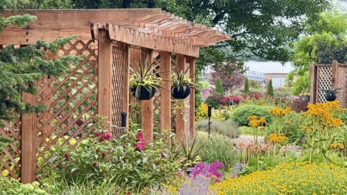A Walk Through Walters Gardens’ Perennial Displays