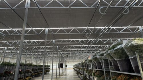 How Green Valley Greenhouse Cut Energy and Waste Costs