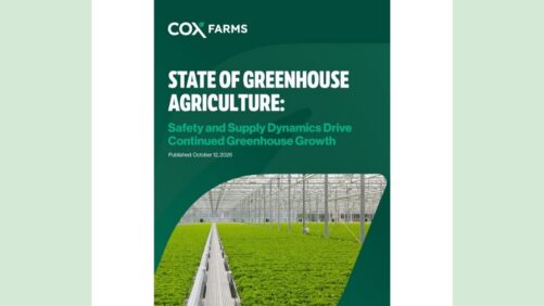 Greenhouse Produce Gains Ground as Consumers Prioritize Food Safety